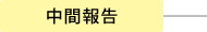 中間報告